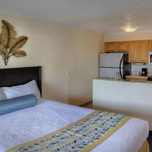 Deluxe Studio Suite Conservation View